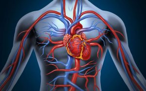 Read more about the article Complications cardiaques de la maladie de Kawasaki